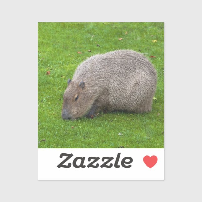 Capybara Sticker (Sheet)
