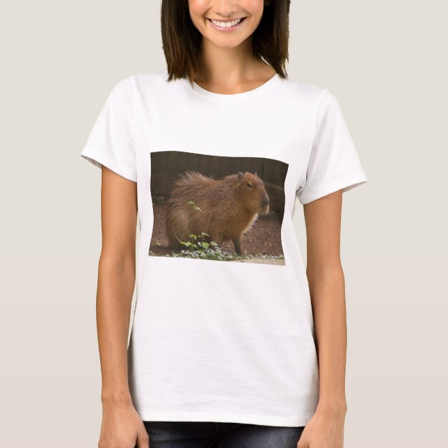 Capybara T-Shirt (Front)