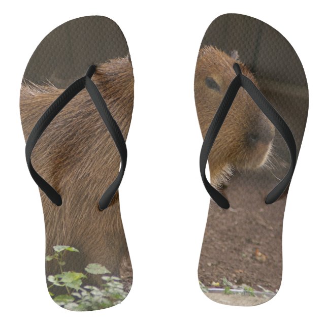 Capybara Thongs (Footbed)