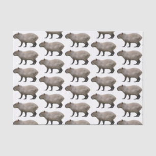 Capybara Tissue Paper