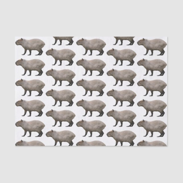 Capybara Tissue Paper (Front)