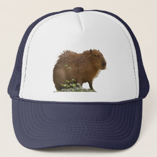 Capybara Trucker Hat