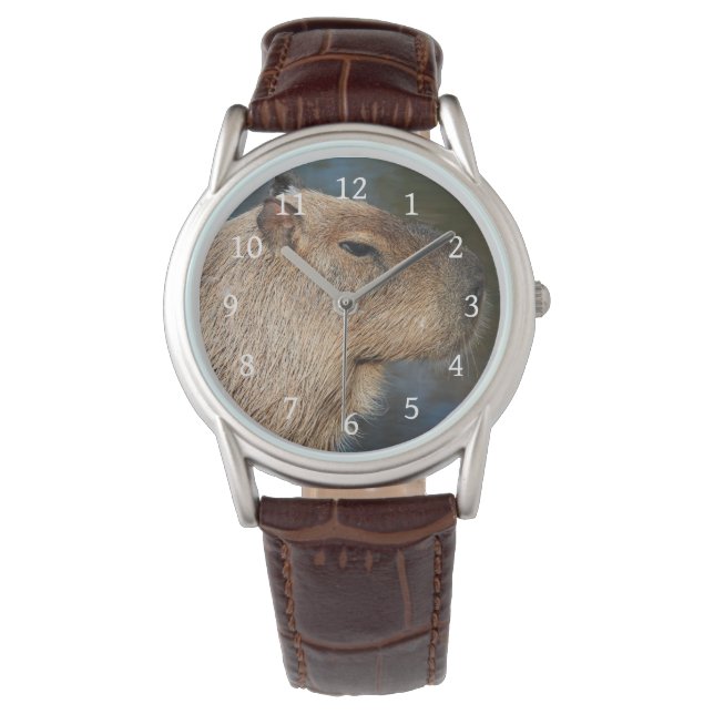 Capybara Watch (Front)