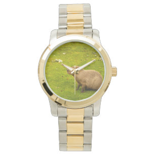 Capybara Watch