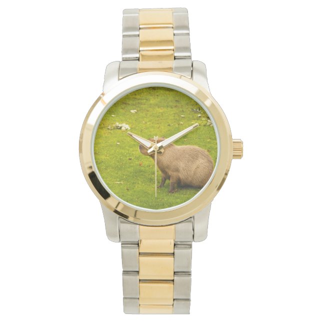 Capybara Watch (Front)