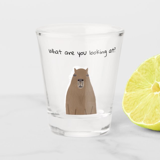 Capybara what are you looking at Drinkware Set Shot Glass (Front)