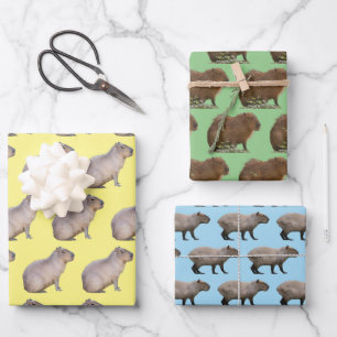 Capybara Wrapping Paper Sheet