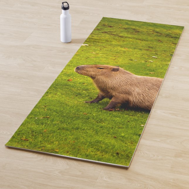 Capybara Yoga Mat (In Situ)