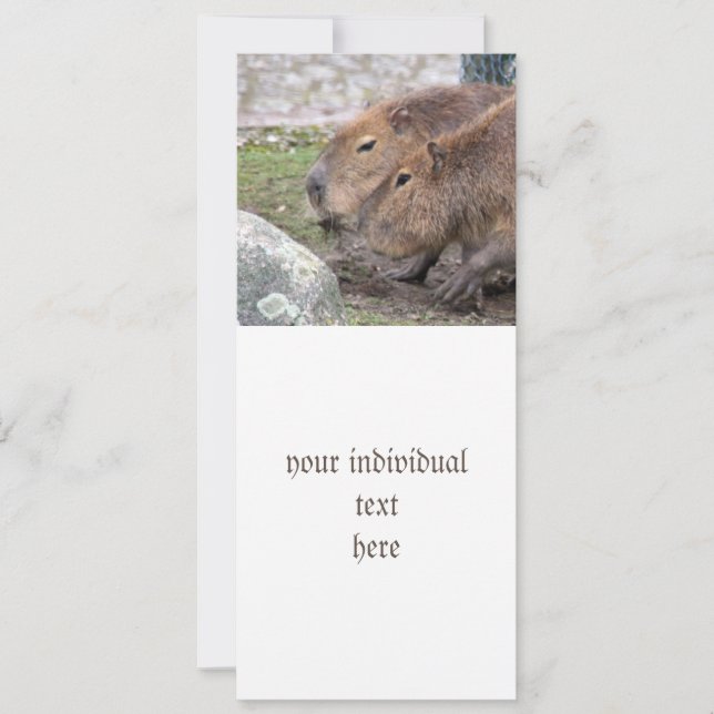 Capybarahs Invitation (Front)
