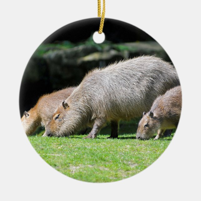 Capybaras grazing ceramic tree decoration (Front)