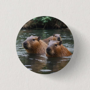 Capybaras' Swimming In The River,  3 Cm Round Badge