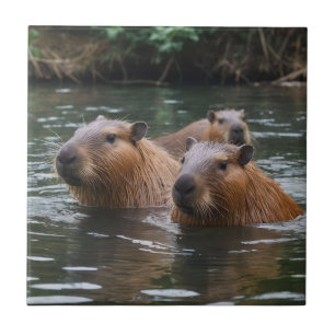 Capybaras' Swimming In The River,  Ceramic Tile