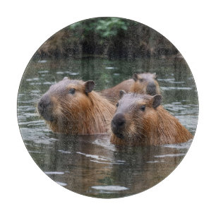 Capybaras' Swimming In The River, Cutting Board