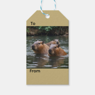 Capybaras' Swimming In The River, Gift Tags