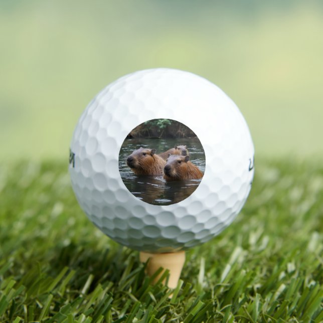 Capybaras' Swimming In The River,  Golf Balls (Insitu Tee)