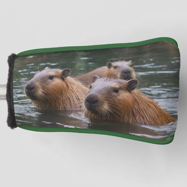 Capybaras' Swimming In The River,  Golf Head Cover (Front)