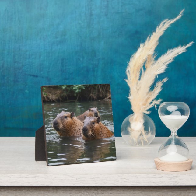 Capybaras' Swimming In The River,  Plaque (Insitu)