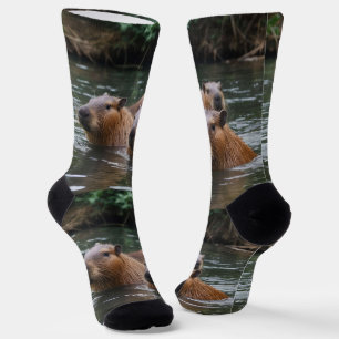 Capybaras' Swimming In The River,  Socks