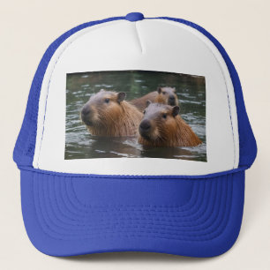 Capybara's Swimming In The River, Trucker Hat