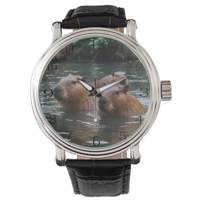 Capybara's Swimming In The River, Watch (Front)