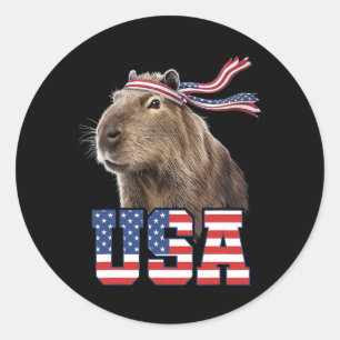Capyra Usa Patriotic American Flag Men Women Kids Classic Round Sticker