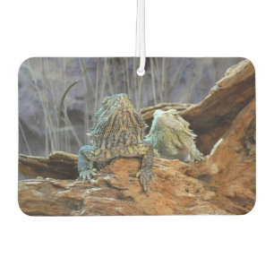 Car Air Fresheners with two curious lizards
