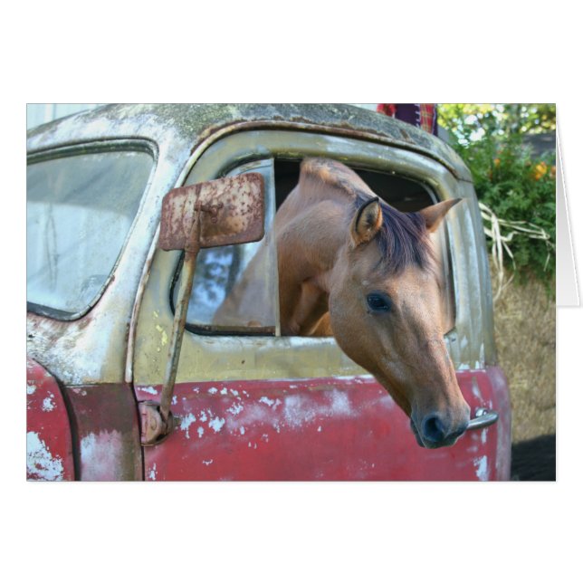 Car driving horse (Front Horizontal)