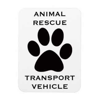 Car Magnet: Animal Rescue Transport Vehicle Magnet