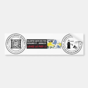 CAR SLIDE - RAVEN ASSOCIATION BUMPER STICKER