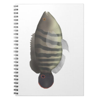 Cará-açu Notebook