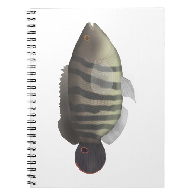 Cará-açu Notebook (Front)