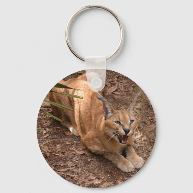 Caracal Lynx Keychain (Front)