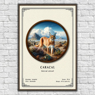 Caracal Zoology Series Poster