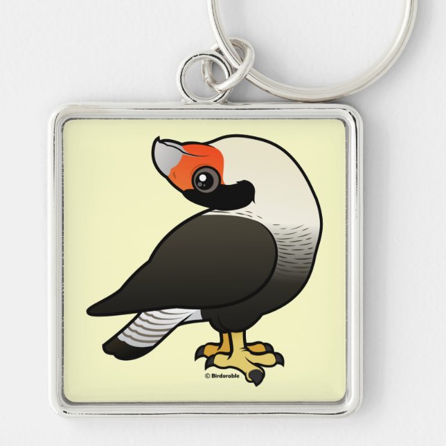 Caracara Display Key Ring (Front)