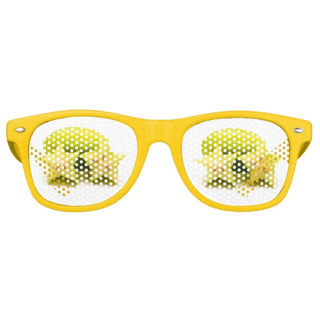 Carambola Retro Sunglasses (Front)