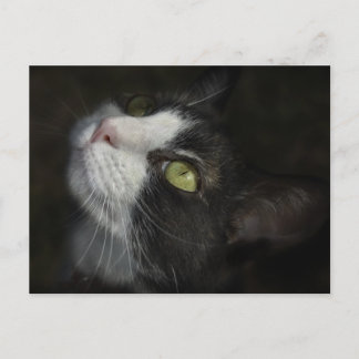 Caramel Postcard