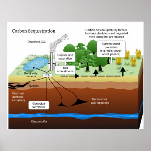 Carbon Dioxide Sequestration from Coal Power Plant Poster