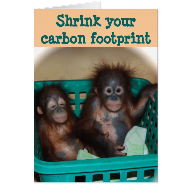 Carbon Footprint Advice (Front)