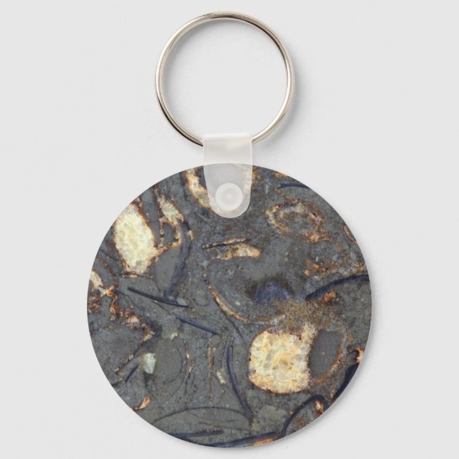 Carbonate rock with fossils key ring (Front)