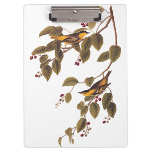 Carbonated Warbler Audubon Bird Clipboard