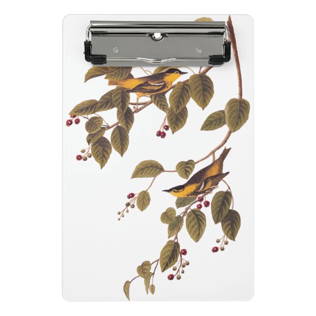 Carbonated Warbler Audubon Bird Mini Clipboard (Front)
