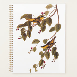Carbonated Warbler Audubon Bird Planner