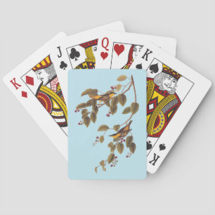Carbonated Warbler Audubon Bird Playing Cards