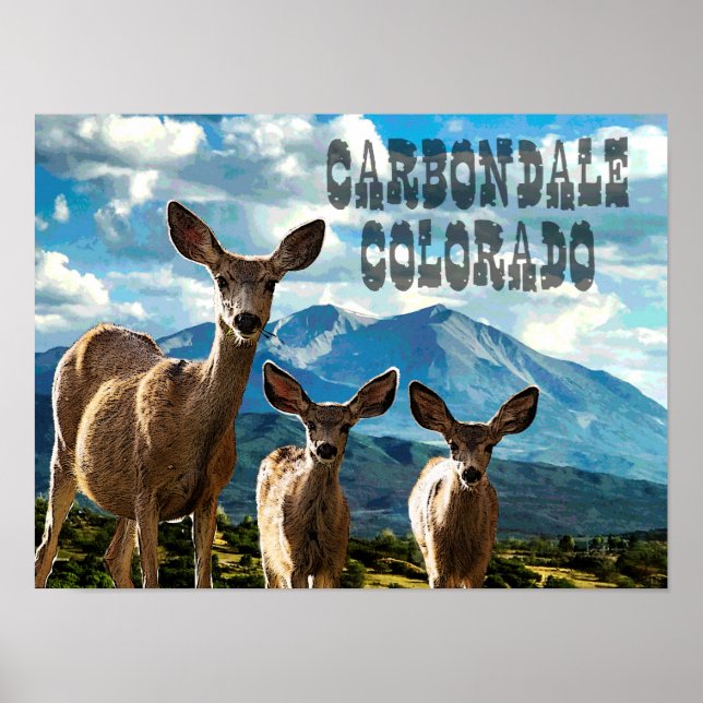 Carbondale, Colorado Poster (Front)