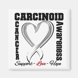 Carcinoid Cancer Awareness Heart Ribbon Magnet
