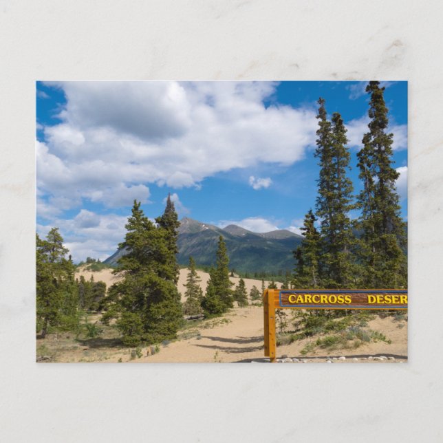 Carcross desert, Yukon Postcard (Front)