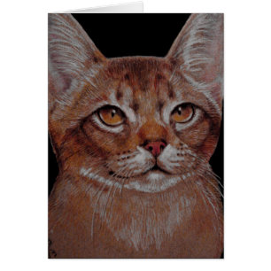 Card - Abby Cat