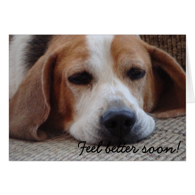 Card: Beagle Feel Better Soon (Front Horizontal)
