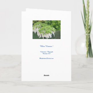 Card /Beauty/Wisteria/Garden/Nature/Tranquillity