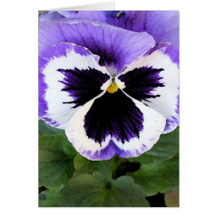 card - Blue, White and Purple Pansy
